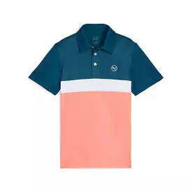 Boy's Colorblock Golf Polo